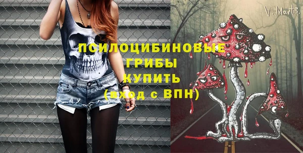 прущий лед Алзамай